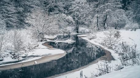 Winter Serenity by a Snowy Stream wallpaper