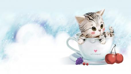 Cute Kitten in a Tea Cup Adventure wallpaper