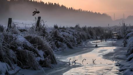 Winter Serenity in Nature's Embrace wallpaper