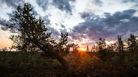 Serene Sunset Over Tranquil Forest Landscape wallpaper