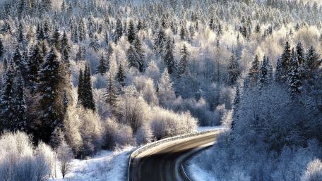 Winter Wonderland Landscape with Curving Road wallpaper