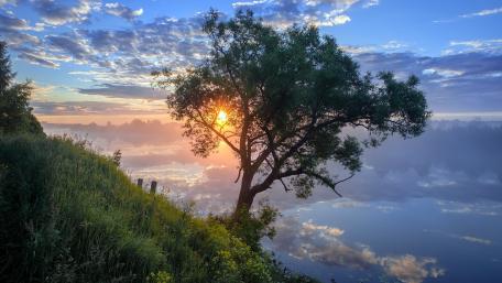 Serene Sunset by the Water's Edge wallpaper