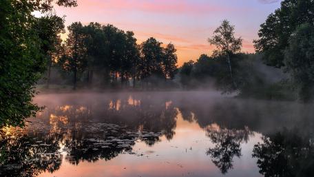 Serene Dawn Reflections in Nature's Embrace wallpaper
