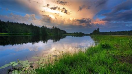 Serene Reflections of Nature's Beauty wallpaper