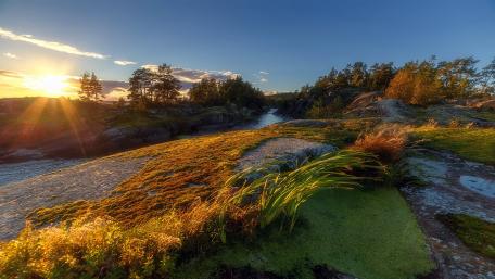 Serene Sunset Over Lush Riverbanks wallpaper
