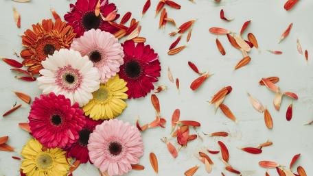 Vibrant Flower Arrangement with Petals Falling wallpaper