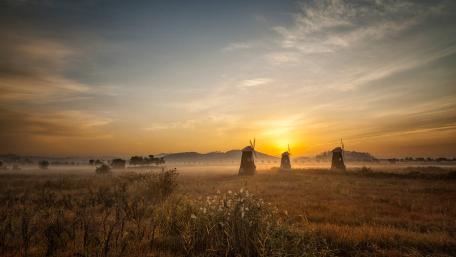 Serene Sunrise Over Misty Fields wallpaper