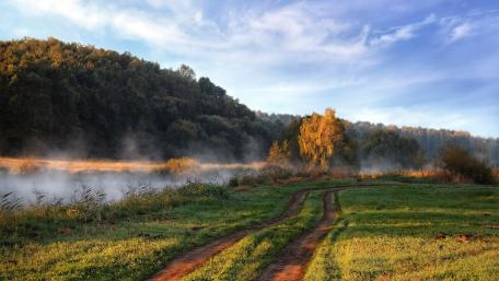 Serene Misty Pathway in Nature's Embrace wallpaper