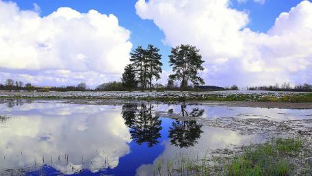 Serene Landscape Reflected in Water wallpaper