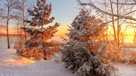 Winter Wonderland at Sunrise wallpaper