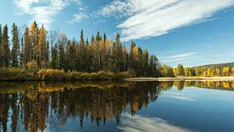 Serene Autumn Reflections in Nature's Calmness wallpaper