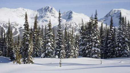 Serene Winter Wonderland Scene wallpaper