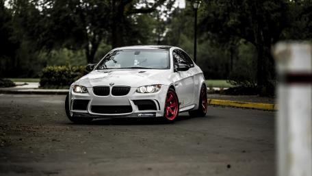 Sleek BMW in a Serene Park Setting wallpaper