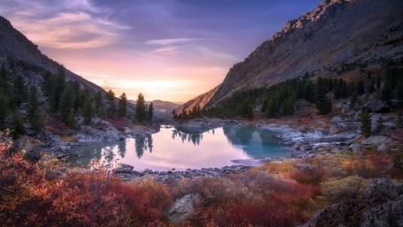 Serenity in Nature's Embrace wallpaper