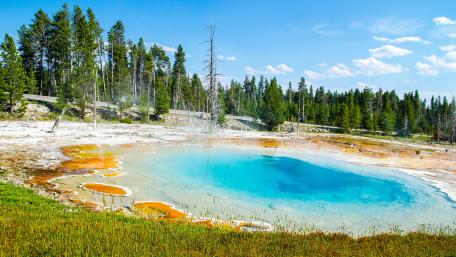 Morning Glory Pool, Yellowstone National Park wallpaper