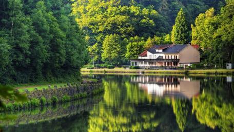 Serenity by the Water's Edge Amidst Lush Greenery wallpaper