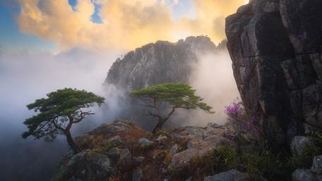 Daedunsan South Korea wallpaper