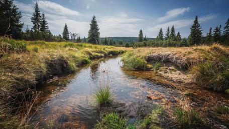 Tranquil Stream in Lush Green Landscape wallpaper