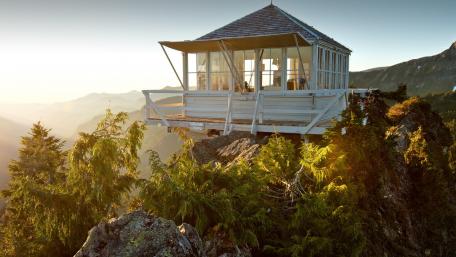 Elevated Serenity in Nature's Embrace wallpaper