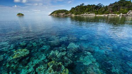 Serene Blue Waters of Nature's Beauty wallpaper