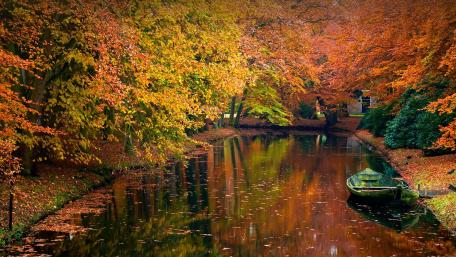 Autumn Serenity on the Canal wallpaper