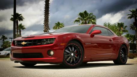 Sleek Red Camaro in a Palm-Lined Setting wallpaper