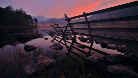 Peaceful Purple Reflection at the Lake wallpaper