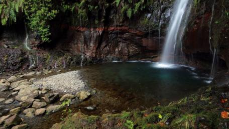 Tranquil Waterfall Surrounded by Lush Greenery wallpaper