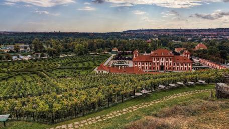 Scenic View Over a Beautiful Vineyard Cityscape wallpaper