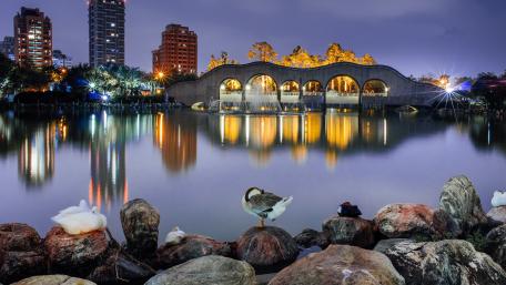 A Tranquil Night by the Bridge wallpaper