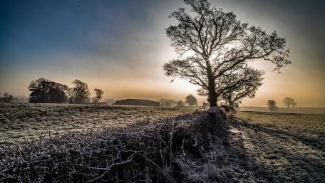 Winter Morning Serenity in the Countryside wallpaper
