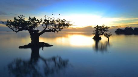 Tranquil Reflections at Dusk wallpaper