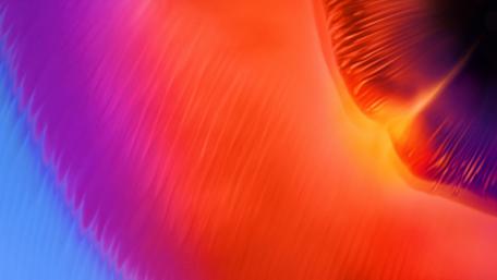 Vibrant Swirls of Color in Motion wallpaper