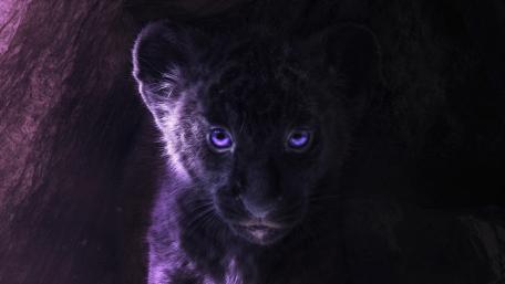 Mystical Black Panther Cub wallpaper