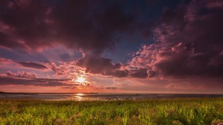Purple Sky at Dusk over Serenity Field wallpaper