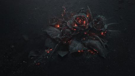 Smoldering Black Roses Emerge in Darkness wallpaper