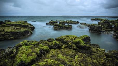 Serene Coastal Rocks Amidst Gentle Waves wallpaper