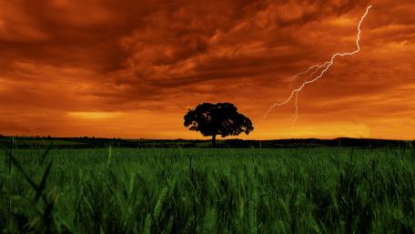 Dramatic Storm Over a Solitary Tree wallpaper