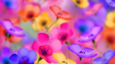 Vibrant Garden of Colorful Flowers wallpaper
