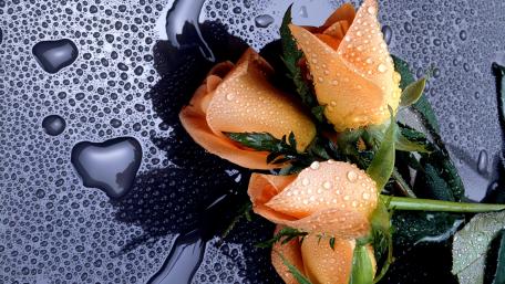 Elegant Roses with Waterdrops on Dark Surface wallpaper