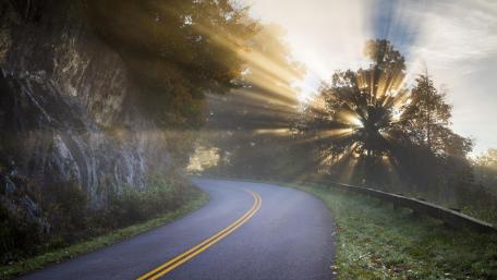 Curved Road Embraced by Sunlight wallpaper