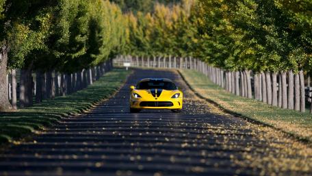 Vivid Yellow Sportscar on a Scenic Roadway wallpaper