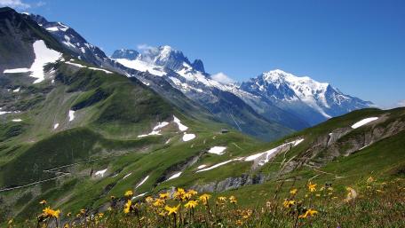 Majestic Mountain Landscape with Vibrant Wildflowers wallpaper