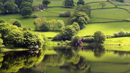 Tranquil Reflection of Nature’s Beauty wallpaper
