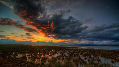 Vibrant Sunset Over Tranquil Marshlands wallpaper