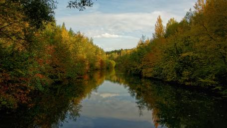 Serene Autumn Reflection by the River wallpaper