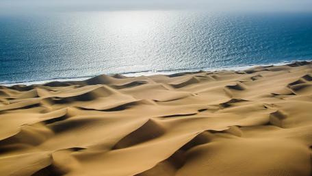 Serene Dunes Meeting the Ocean's Embrace wallpaper