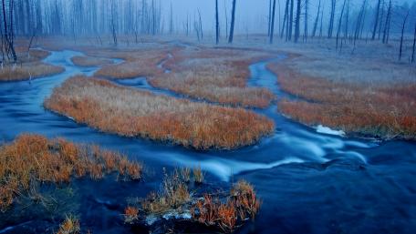 Serene Waters Flowing Through Autumn Grasslands wallpaper