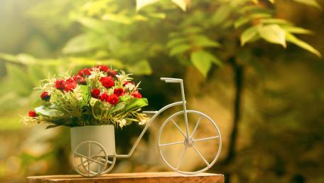 Charming Floral Bicycle Arrangement wallpaper