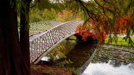 Serene Bridge in Autumn's Embrace wallpaper